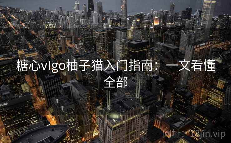 糖心vIgo柚子猫入门指南:一文看懂全部