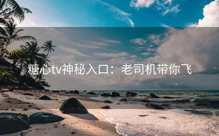 糖心tv神秘入口:老司机带你飞