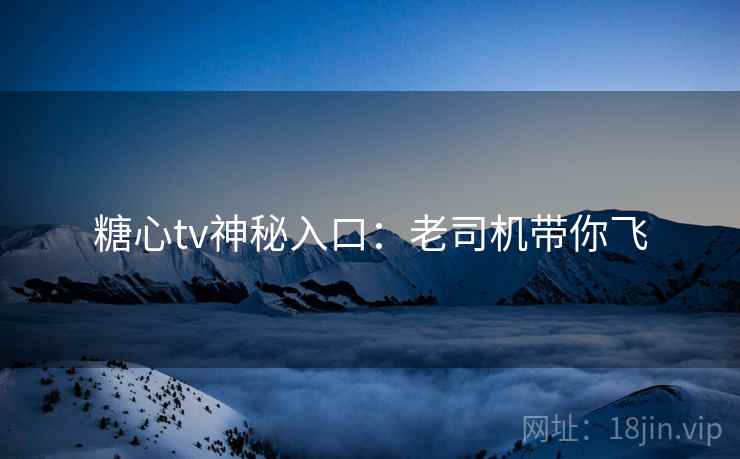 糖心tv神秘入口：老司机带你飞