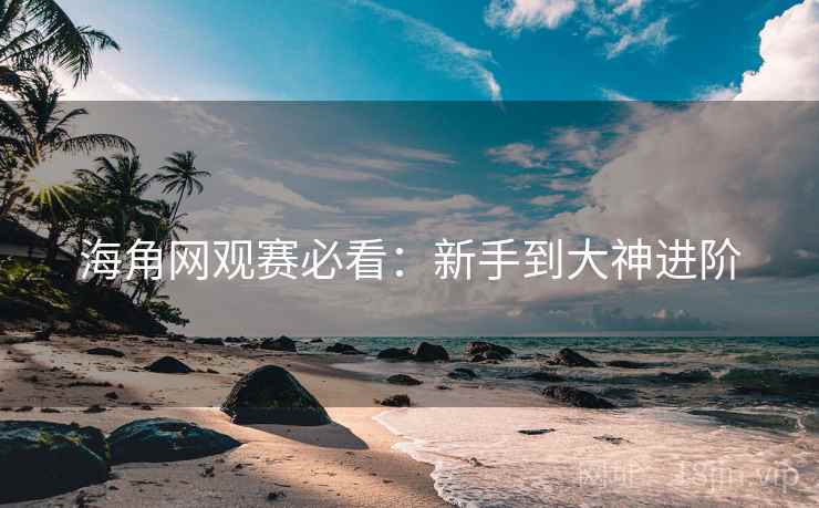 海角网观赛必看:新手到大神进阶